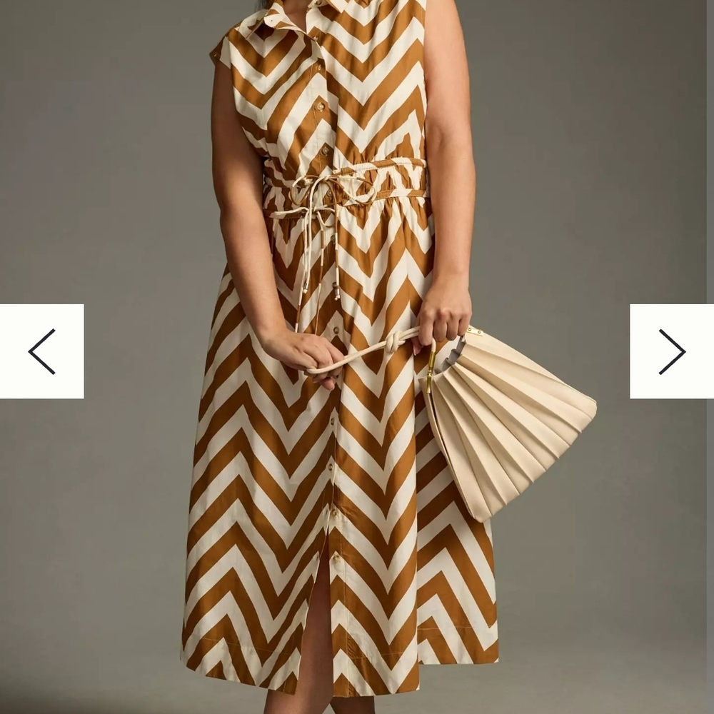 Anthropologie Tan And White Dress